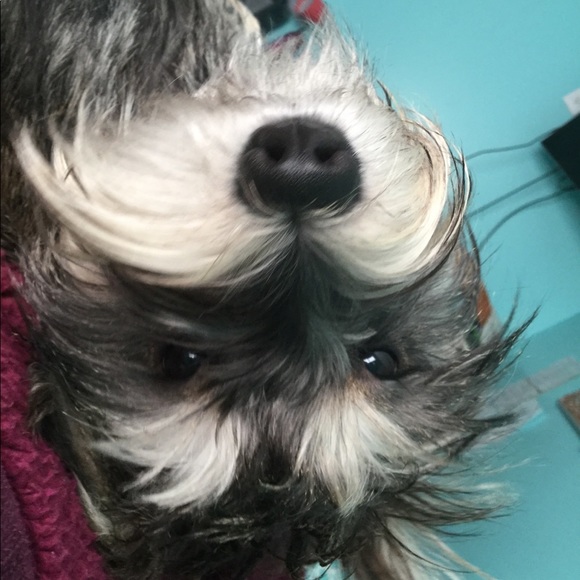 chloezclozet